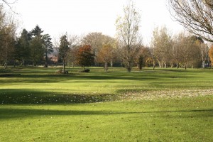 Broadwater park golf club Farncombe